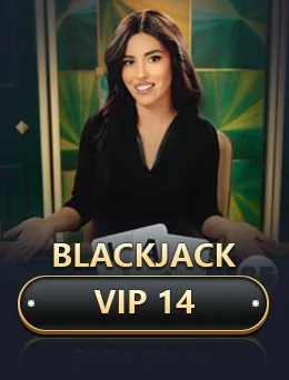 Blackjack Vip 14 artwork